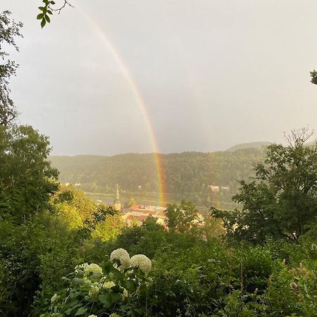 Villa Sonnenburg Bad Schandau Esterno foto