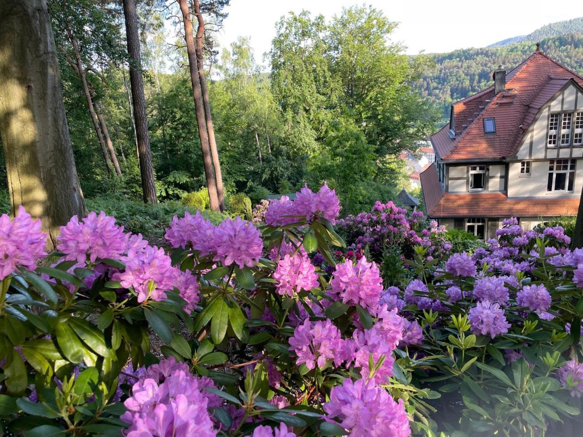 Villa Sonnenburg Bad Schandau Esterno foto