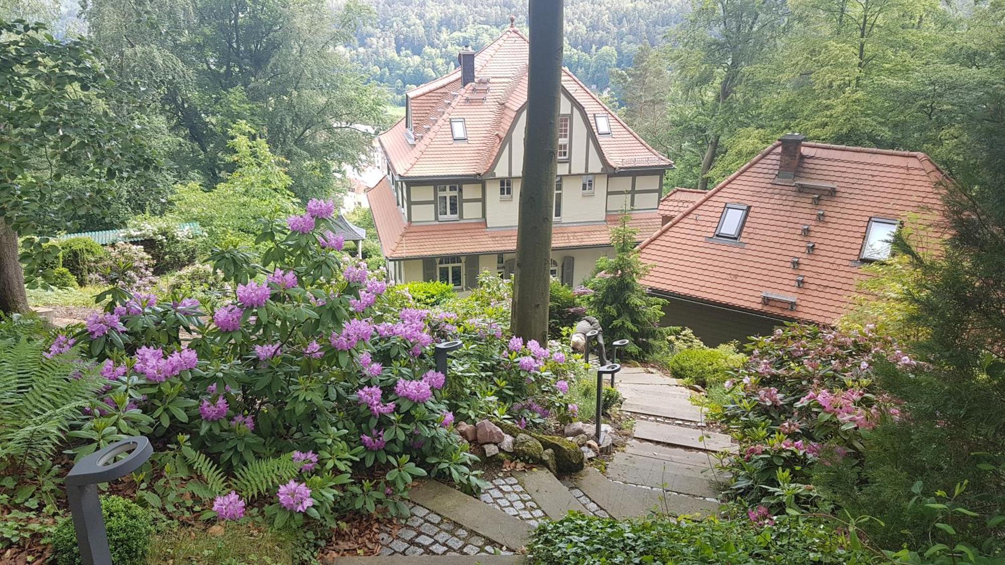Villa Sonnenburg Bad Schandau Esterno foto